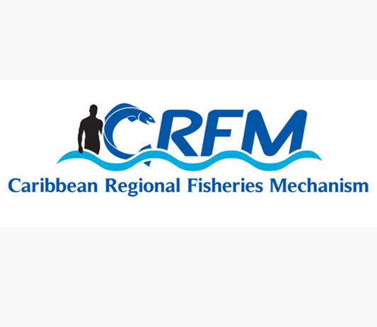 Caribbean Fisheries - Seafood Market