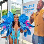 FLOW - Endless Everything Summer