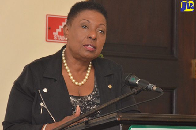 Minister Grange Condemns Killing of Pregnant Woman and Children.
