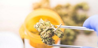 Medicinal Cannabis Authority Official Statement Medicinal Cannabis Authority
